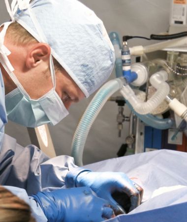 Clinics  Placement