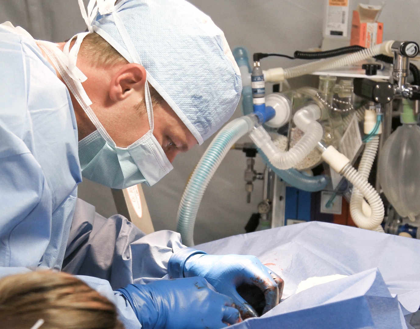 Clinics  Placement