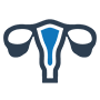 Gynaecology Gynaecology